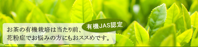 有機JAS認定 お茶の有機栽培は当たり前、花粉症でお悩みの方にもおススめです。